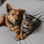 Adorable dog and cat moment, snuggling affectionately.