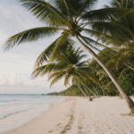 A beach haven with palm trees and idyllic tropical scenery.