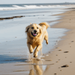Golden retriever showcasing carefree joy on the expansive sandy beach.