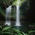 A verdant jungle setting with a picturesque waterfall, ideal for nature photography.