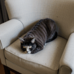 A fluffy cat enjoying a restful nap on a cozy armchair, set in a warm, inviting home environment.