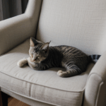 A cute cat napping on a beautifully upholstered armchair, showcasing comfort and style.