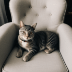 A content cat with soft fur napping on a stylish armchair, creating a serene home atmosphere.