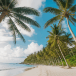A coastal escape featuring palm trees and a picturesque beach.