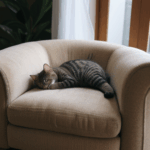 A serene feline resting on a stylish armchair, creating a peaceful and cozy atmosphere.