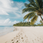 Crystal-clear waters lap against a pristine tropical beach with palm trees.
