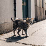 A curious cat explores the city streets, its every move a testament to its urban wanderlust.