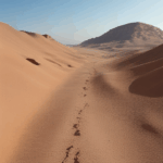 ai-generated-desert-dunes-at-sunset-17.jpg