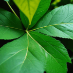 dewdrop-on-leaf-004.jpg