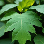 dewdrop-on-leaf-007.jpg