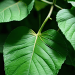 dewdrop-on-leaf-020.jpg