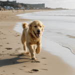 Golden retriever exhibiting boundless energy during a beach day frolic.