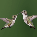 An energetic hummingbird drinks from a flower, highlighting natural wonders.