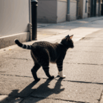 Capturing a cat's moment of curiosity as it navigates the lively streets of a vibrant city.