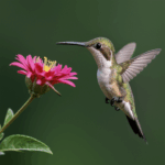 A small hummingbird visits a flower, showcasing nature's beauty and harmony.