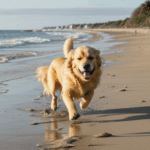Golden retriever filled with joy as it explores the sandy beach landscape.