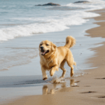 A golden retriever joyfully running along the sandy beach, splashing in the water.