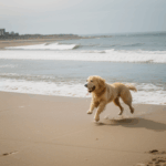 Golden retriever splashing through the shallow waves, enjoying the beach fun.