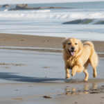 Happy golden retriever enjoying a lively beach day with waves in the background.