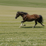 A horse in full gallop across a picturesque meadow, epitomizing equine grace.