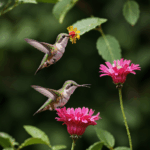 Hummingbird in flight, approaching a flower to gather nectar, illustrating its swift movements.