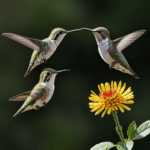 Nectar gathering hummingbird poised at a flower, showcasing the intricate relationship between birds and blooms.