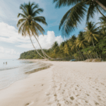 Oceanfront paradise with palm trees and a stunning tropical beach.