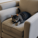 A peaceful cat napping on a decorative armchair, epitomizing relaxation in a cozy setting.