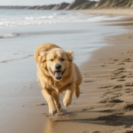Golden retriever happily playing in the sand, basking in the sunlit beach.