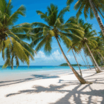 Serene beach vibes with palm trees swaying in the tropical breeze.