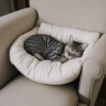A cute feline with soft fur lounging on a cozy armchair, in a tranquil and inviting home space.