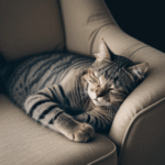 A charming feline resting peacefully on a beautifully upholstered armchair, the picture of serenity.