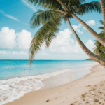 Soft sandy shores stretch along a tropical beach with lush palm trees.
