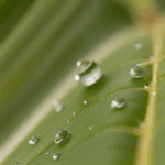An enchanting dewdrop on a leaf, sparkling in the sunlight and revealing the delicate balance of nature.