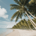 A stunning tropical beach with swaying palm trees under a clear blue sky.