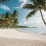 Escape to a tropical getaway with palm trees and a serene beach.