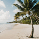 Tropical oasis featuring palm trees and a tranquil beach setting.