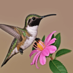 A colorful hummingbird is captured in mid-flight as it approaches a blooming flower.