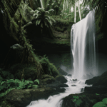 A mesmerizing waterfall cascading through lush green jungle foliage, offering a tranquil escape.